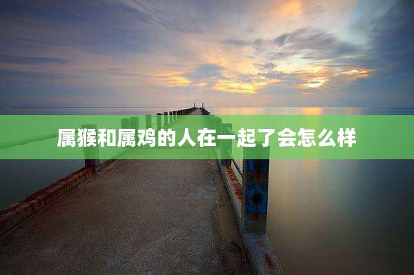 属猴和属鸡的人在一起了会怎么样