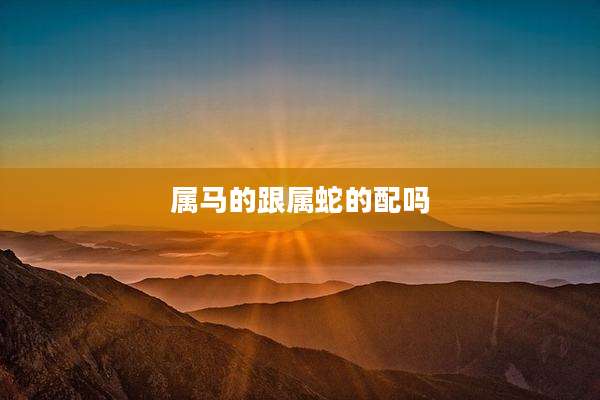 属马的跟属蛇的配吗