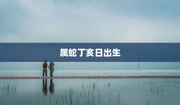 属蛇丁亥日出生