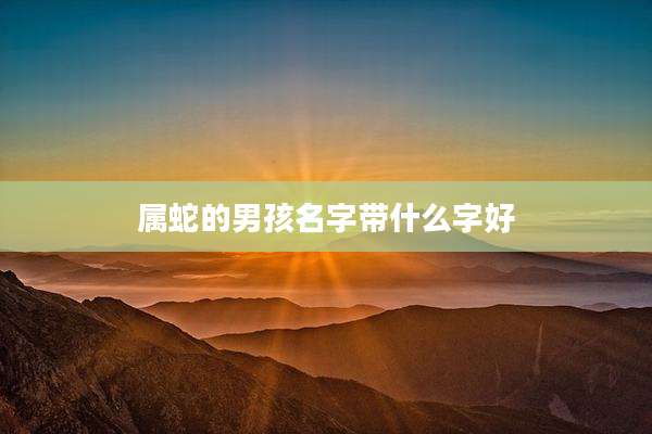 属蛇的男孩名字带什么字好