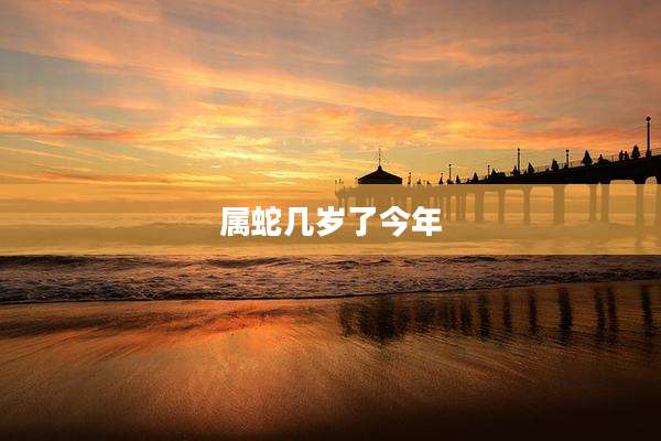 属蛇几岁了今年