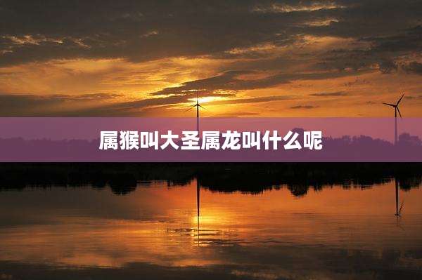 属猴叫大圣属龙叫什么呢