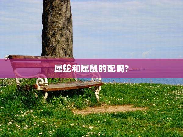 属蛇和属鼠的配吗?