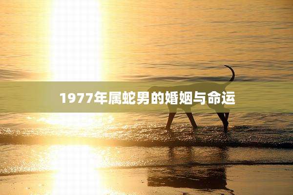 1977年属蛇男的婚姻与命运