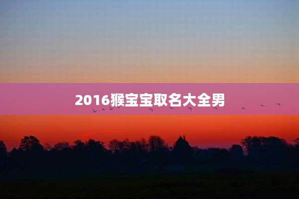 2016猴宝宝取名大全男