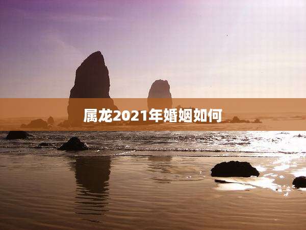 属龙2021年婚姻如何