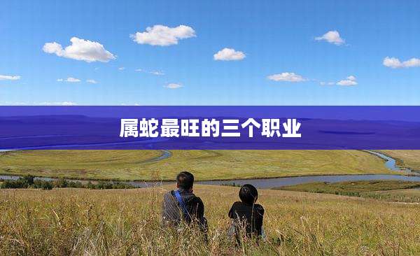 属蛇最旺的三个职业