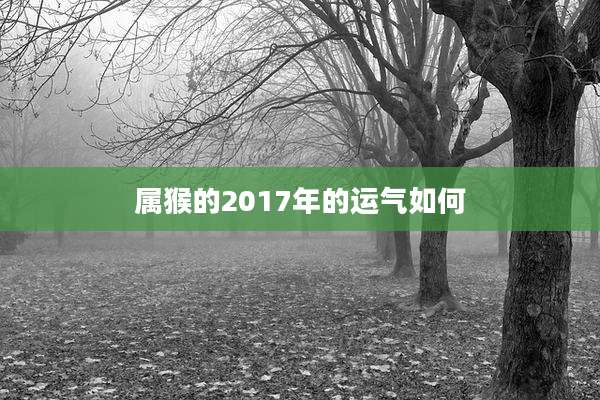 属猴的2017年的运气如何