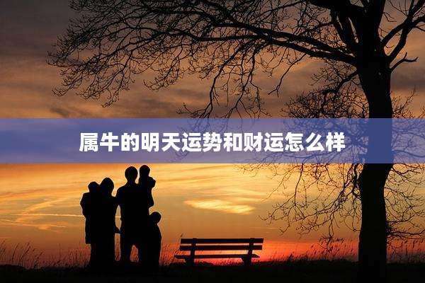 属牛的明天运势和财运怎么样