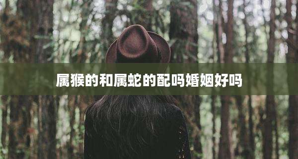 属猴的和属蛇的配吗婚姻好吗