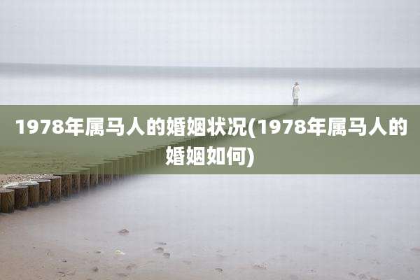 1978年属马人的婚姻状况(1978年属马人的婚姻如何)