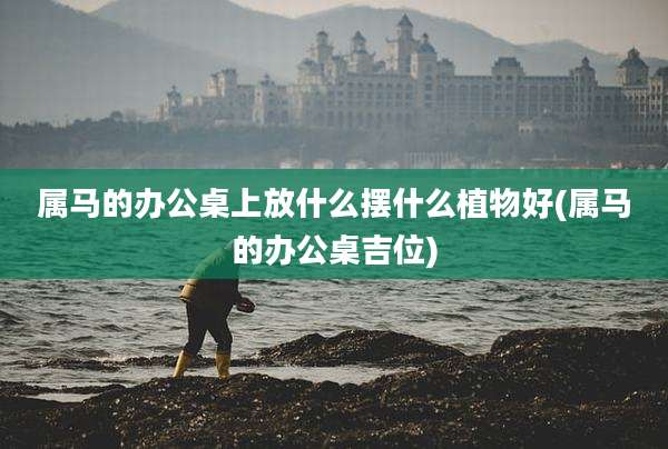 属马的办公桌上放什么摆什么植物好(属马的办公桌吉位)