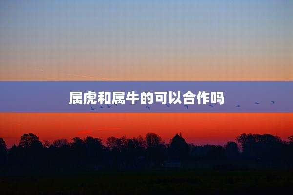 属虎和属牛的可以合作吗