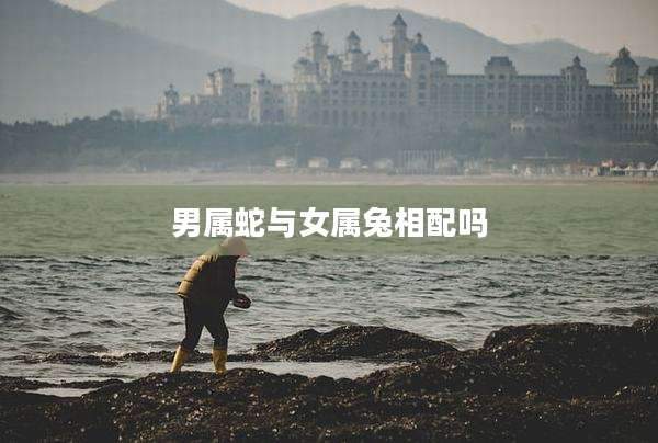 男属蛇与女属兔相配吗