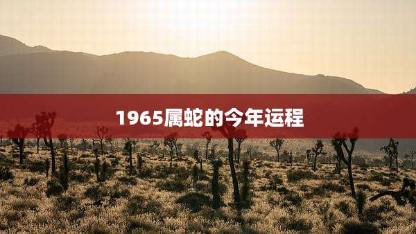 1965属蛇的今年运程