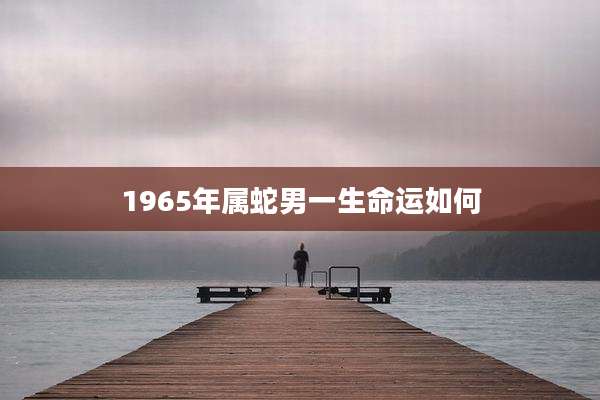 1965年属蛇男一生命运如何