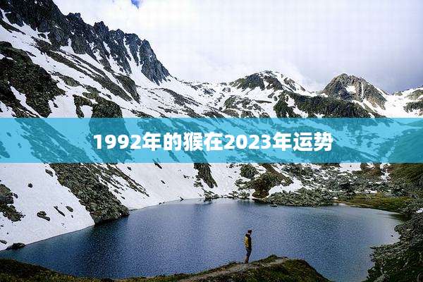 1992年的猴在2023年运势