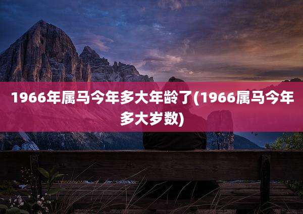 1966年属马今年多大年龄了(1966属马今年多大岁数)