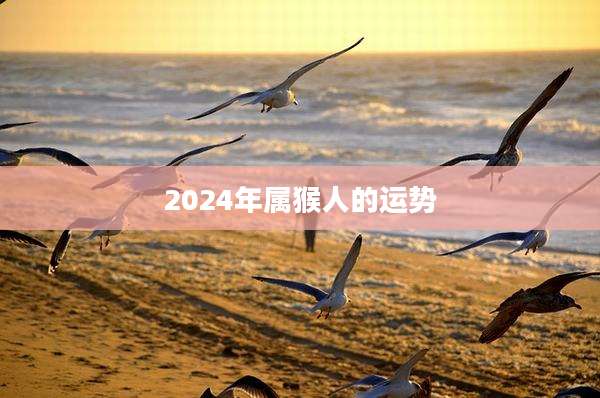 2024年属猴人的运势
