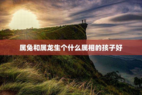 属兔和属龙生个什么属相的孩子好