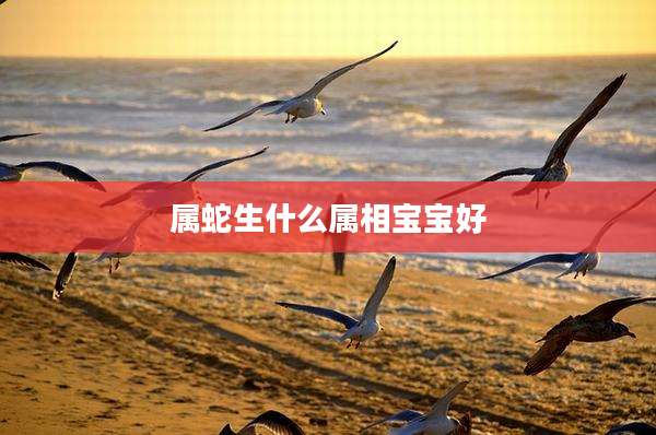 属蛇生什么属相宝宝好