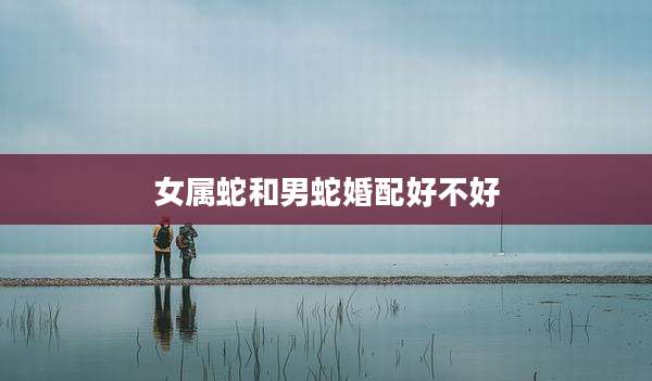 女属蛇和男蛇婚配好不好