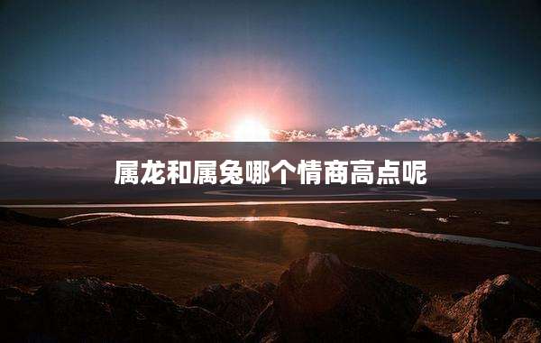 属龙和属兔哪个情商高点呢