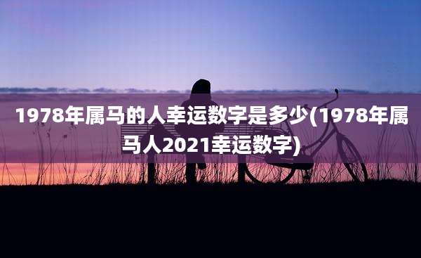 1978年属马的人幸运数字是多少(1978年属马人2021幸运数字)