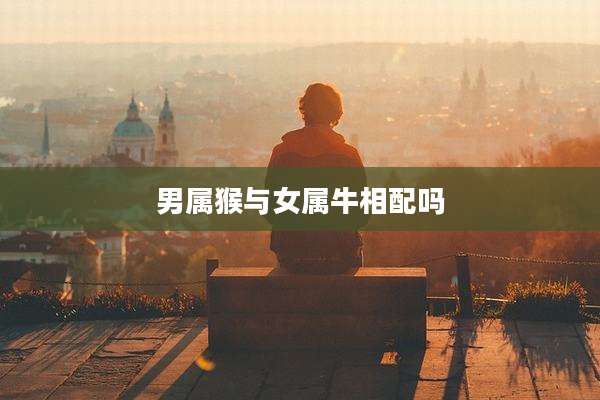 男属猴与女属牛相配吗