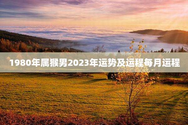 1980年属猴男2023年运势及运程每月运程