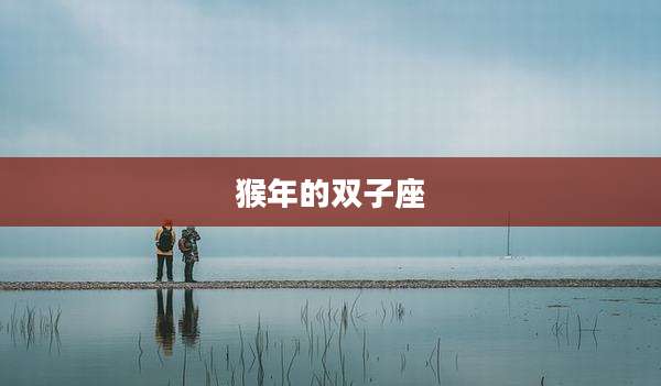 猴年的双子座