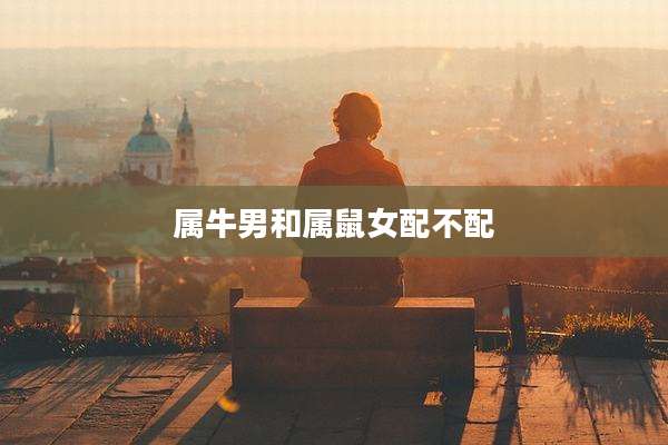 属牛男和属鼠女配不配
