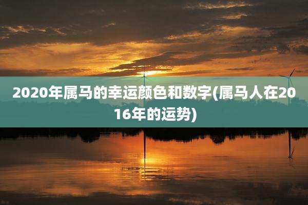 2020年属马的幸运颜色和数字(属马人在2016年的运势)