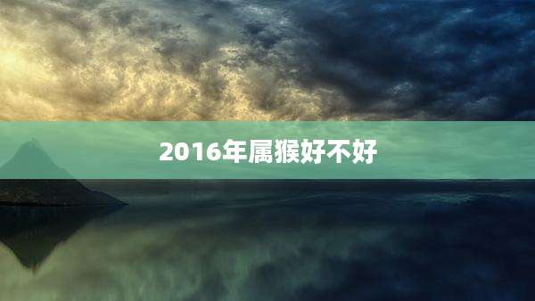 2016年属猴好不好