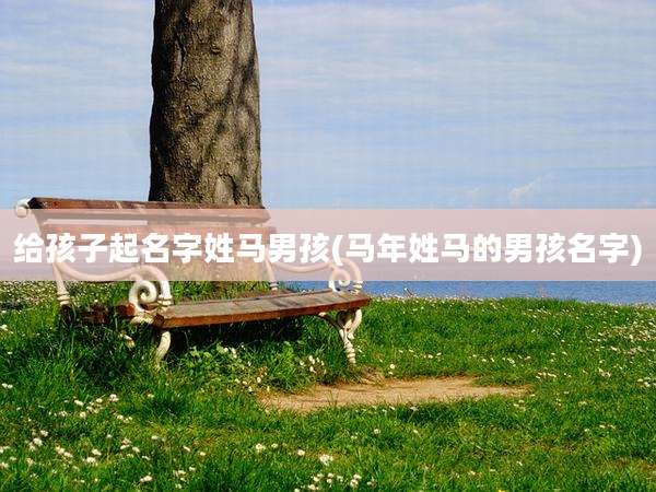 给孩子起名字姓马男孩(马年姓马的男孩名字)