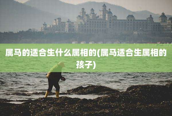 属马的适合生什么属相的(属马适合生属相的孩子)