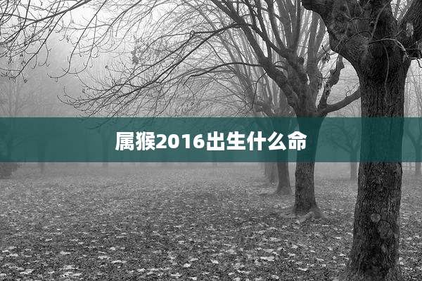 属猴2016出生什么命