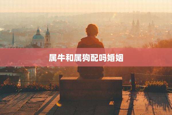 属牛和属狗配吗婚姻