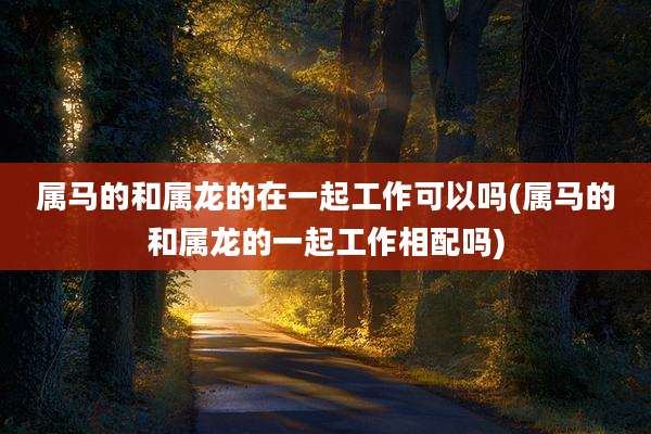 属马的和属龙的在一起工作可以吗(属马的和属龙的一起工作相配吗)