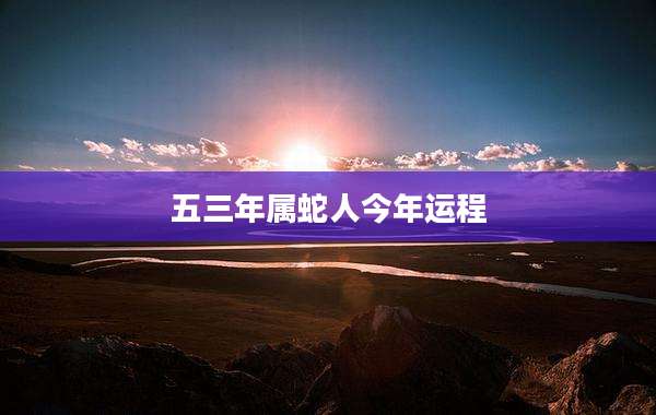 五三年属蛇人今年运程