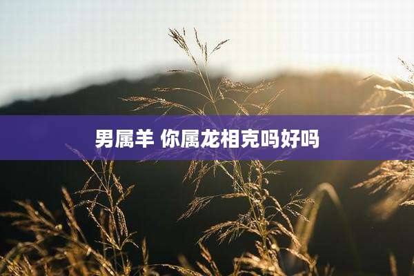 男属羊 你属龙相克吗好吗