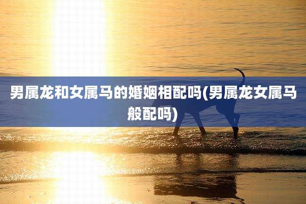 男属龙和女属马的婚姻相配吗(男属龙女属马般配吗)