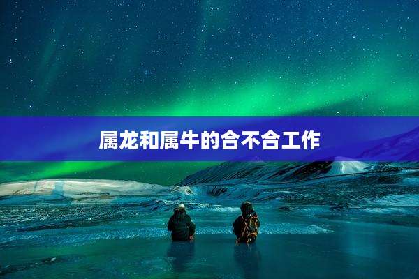 属龙和属牛的合不合工作