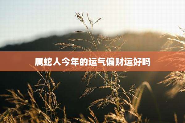 属蛇人今年的运气偏财运好吗