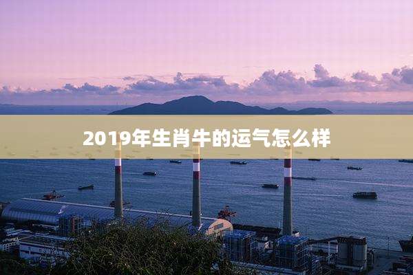 2019年生肖牛的运气怎么样