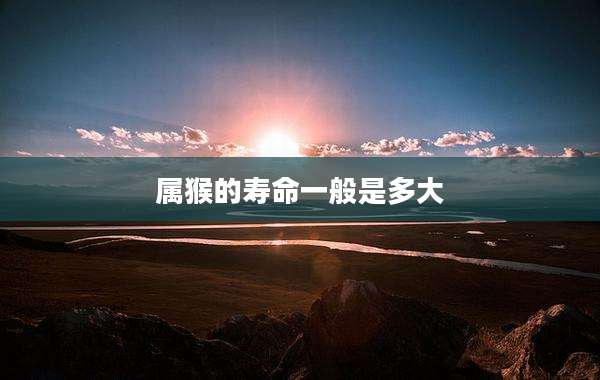 属猴的寿命一般是多大