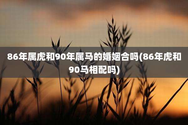 86年属虎和90年属马的婚姻合吗(86年虎和90马相配吗)