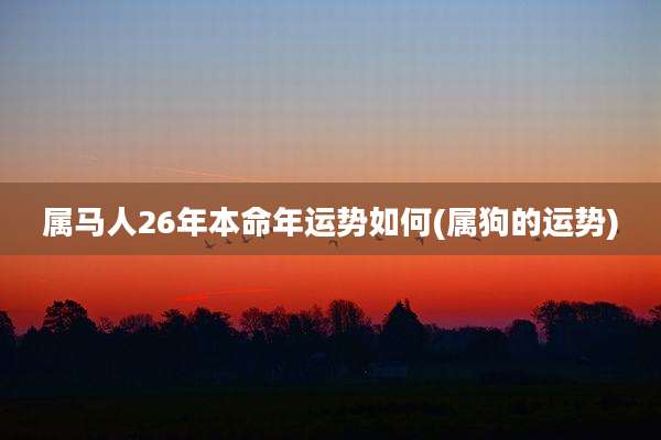 属马人26年本命年运势如何(属狗的运势)