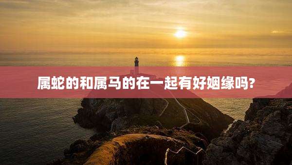 属蛇的和属马的在一起有好姻缘吗?