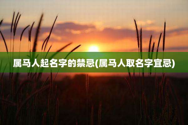 属马人起名字的禁忌(属马人取名字宜忌)